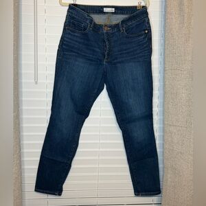 LOFT Indigo Skinny Jeans
